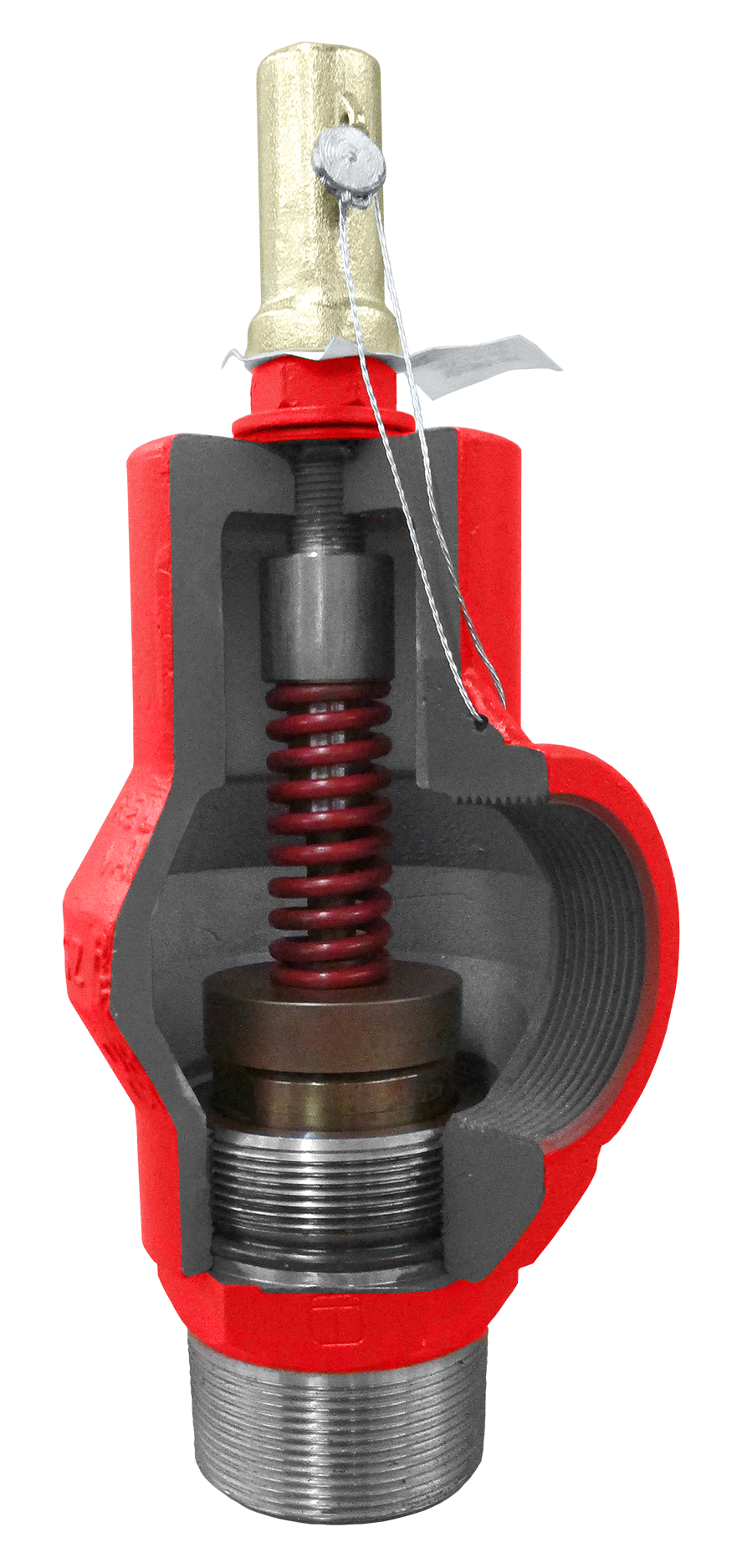 Taylor Valve